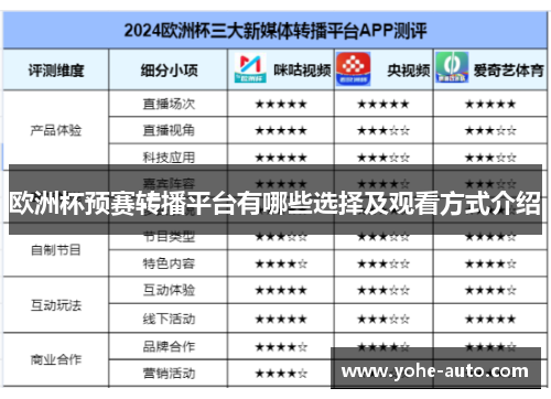 欧洲杯预赛转播平台有哪些选择及观看方式介绍